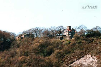 Der Isenberg mit der Burgruine